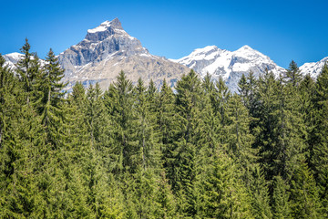 Obraz premium Alpine Mountains