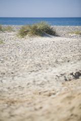 Danish sandy beach - 167252174