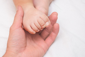 Children's legs on a palm of the adult person