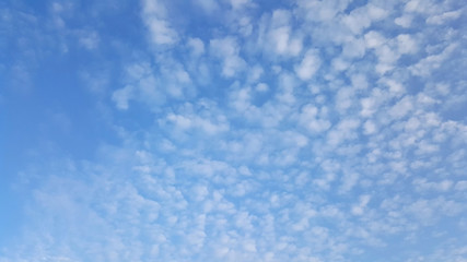 Fototapeta premium blue sky and cloud or blue sky and cloud background