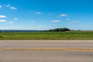 View of a field in Illinois country side © Ian