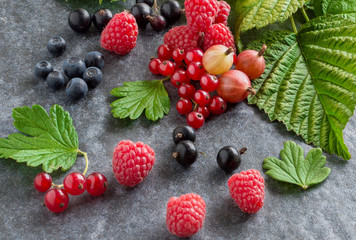 Still life of wild berries blueberries, raspberries, gooseberries, red currant