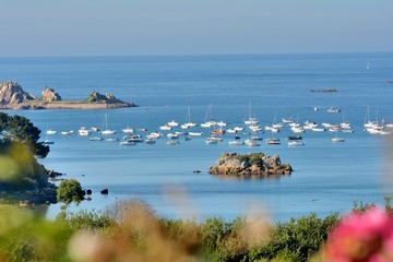Fototapeta na wymiar Paysage de mer à Buguélès en Bretagne