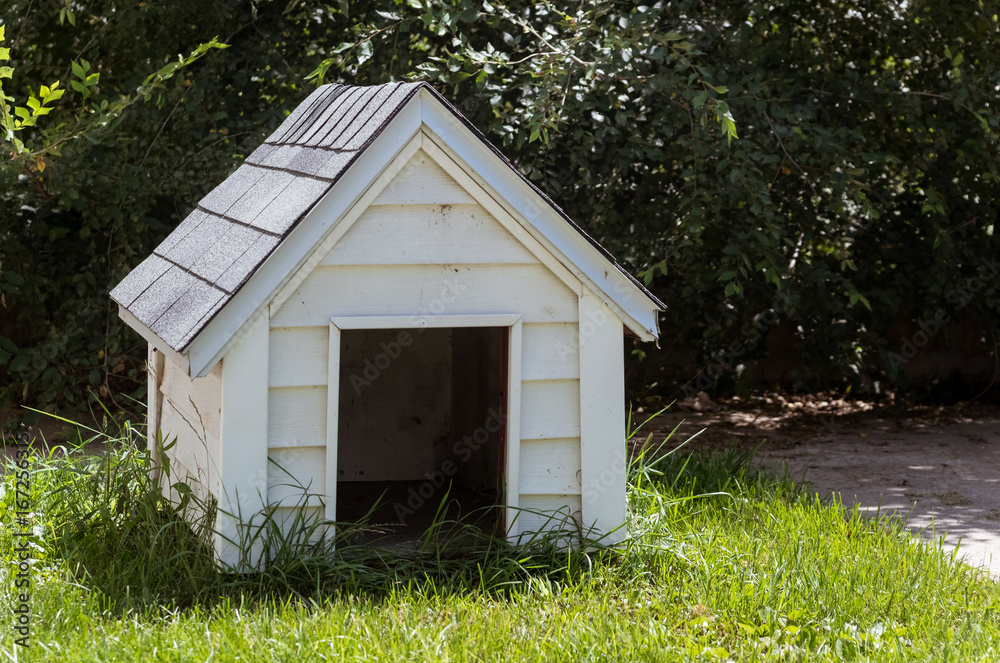 Wall mural white wooden doghouse on a house backyard