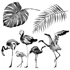 beautiful tropical palm leaves and flamingo, watercolor