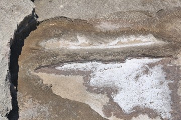 Crystallized sea salt