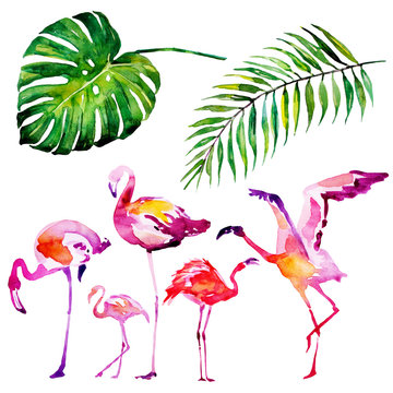 beautiful tropical palm leaves and flamingo, watercolor
