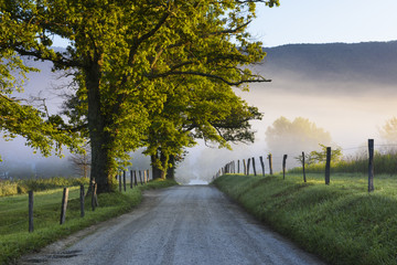 Rural Road on Foggy Summer Morning