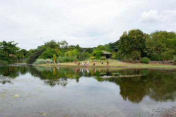 Lake view singapore botanic garden