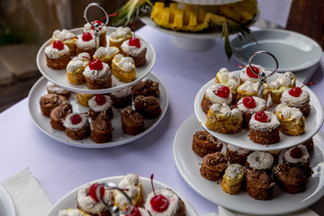 Sweet dessert. Plate with  cupcake