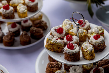 Sweet dessert. Plate with  cupcake