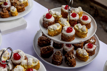 Sweet dessert. Plate with  cupcake