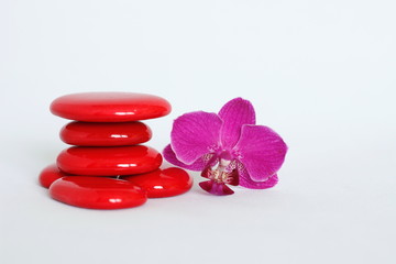 galets rouge disposés en mode de vie zen avec une orchidée rose foncé sur le coté droit sur fond blanc