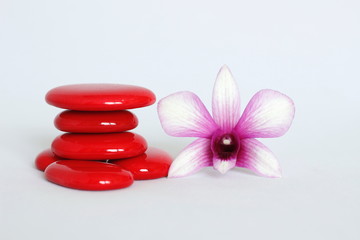 galets rouge disposés en mode de vie zen avec une orchidée bicolore sur le coté droit sur fond blanc