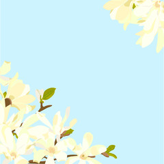 Vector illustration of Magnolia flowers on a blue background with clipping mask. Greeting card with place for text.