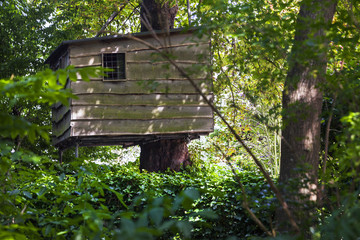 Treehouse in the woods