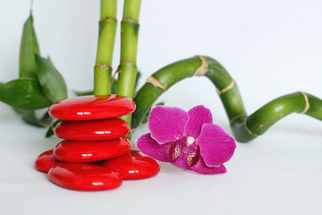 galets rouge disposés en mode de vie zen avec une orchidées rose foncé sur le coté droit des bambou droit et torsadé le tout sur fond blanc