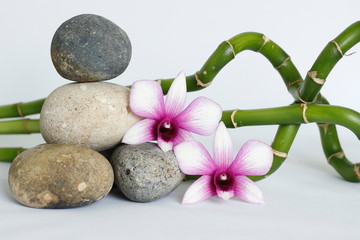 galets gris naturel disposés en mode de vie zen avec deux orchidées bicolore sur le coté droit des bambou torsadés sur fond blanc