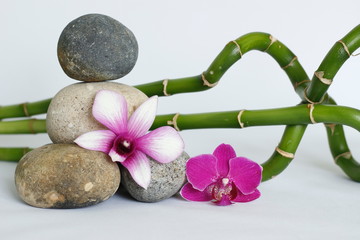 galets gris naturel disposés en mode de vie zen avec une orchidée bicolore et une orchidée rose foncé des bambou torsadés sur fond blanc