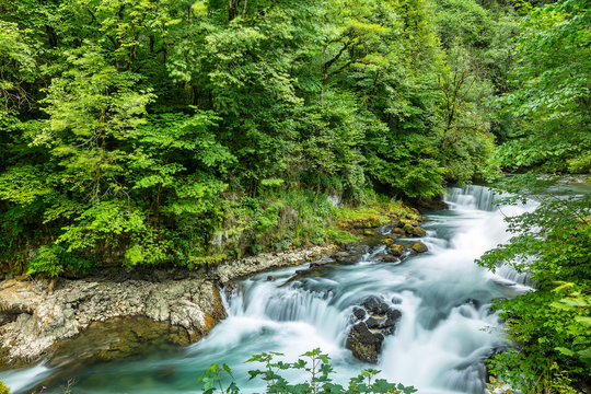 Source De La Loue JURA