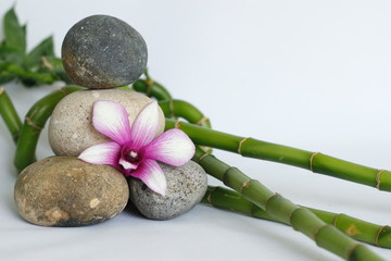 Obraz na płótnie Canvas galets gris naturel disposés en mode de vie zen avec une orchidée bicolore, sur le coté droit des bambou torsadés sur fond blanc