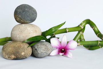 galets gris naturel disposés en mode de vie zen avec une orchidée sur le coté droit des tiges de bambou droit sur fond blanc