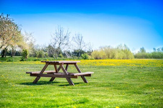 Picnic table on a green meadow with yellow spring flowers and dandelions on background. Early summer time, traveling and family vacation in camping site. Breakfast and picnic outside in an morning