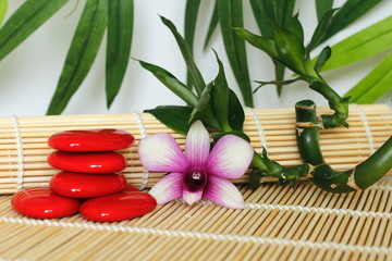 galets rouge disposés en mode de vie zen avec une orchidée bicolore sur le coté droit des bambou torsadé posé sur sol bois et fond de feuillage