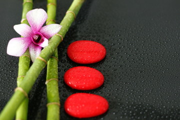 une orchidée bicolore posé sur des bambous avec des galets rouge posés en mode de vie zen sur fond noir avec goutte d'eau