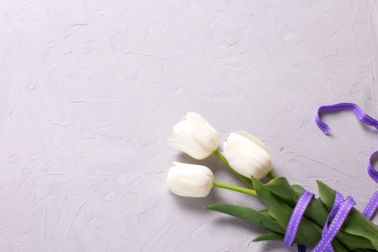 Bunch of white tulips flowers with violet ribbon on  grey textured  background.