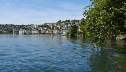 The Parco Ciani with its trees in the foreground and the houses of Lugano in the background - Lugano, Lake Lugano, Lugano, Ticino, Switzerland, Europe