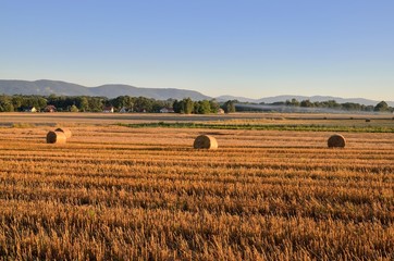 Summer rural landscape. Haystack in a meadow with mountain landscape.