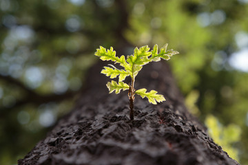 On The Way To Heaven