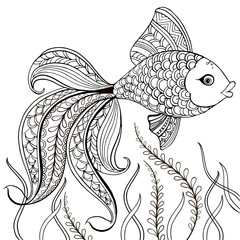 Hand drawn decorative fish for for the anti stress coloring page. Hand drawn black decorative fish isolated on white background