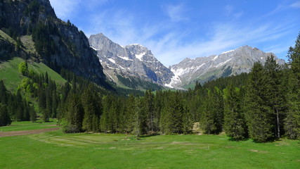 Fototapeta premium Beautiful forest in the Alps as seen during the cable car ride to Mount Titlis