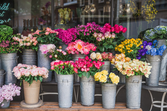 Photography of beautiful flowers on the street