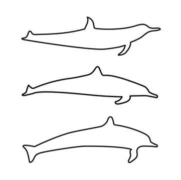 black silhouettes of dolphins- vector illustration