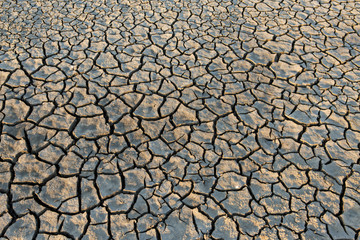 A lifeless land, craquelure