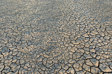 A lifeless land, craquelure