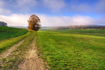 Fototapeta na wymiar Feldweg in der Herbstlandschaft