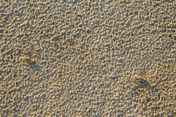 A lifeless land, craquelure