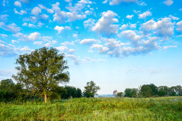 Vintage photo with tree and clouds in summer