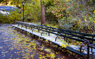 Serene autumn view of Central Park, New York. 