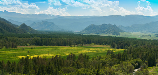 Beauty colors of summer Altai