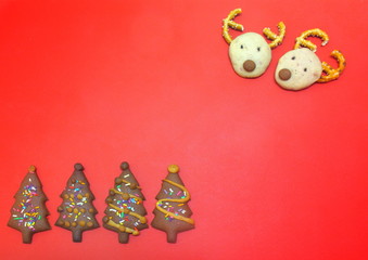 Deer head chocolate cookies and christmas tree berry cookies on red plastic background have space for put text
