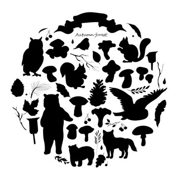 Set With The Image Of Leaves, Branches, Berries, Flowers, Animals And Birds, Autumn Elements, Bear, Squirrels, Fox, Owl. Black And White 
Silhouette, Vector.