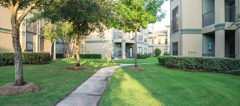 Clean Lawn And Tidy Oak Trees Along The Walk Path Through The Typical Apartment Complex Building In Suburban Area At Humble, Texas, US. Grassy Backyard, Sunset Warm Light. Panorama.