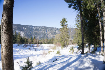 Winterlandschaft
