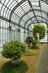 Obraz premium Vasques de fleurs monumentales aux Serres Royales de Laeken à Bruxelles 