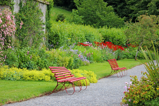 Pathway through the garden 